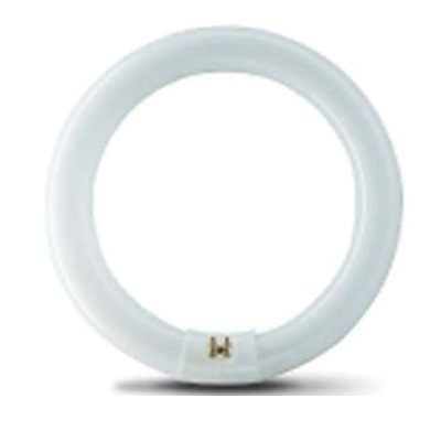 ĐÈN HUỲNH QUANG VÒNG - PHILIPS TL-E 22W