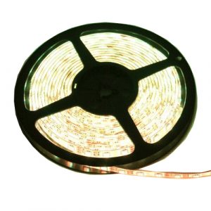 den-led-day-5050-nguon-12v-cuon-5m1