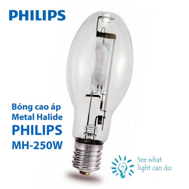 Làm sao phân biệt bóng cao áp Philips thật và giả