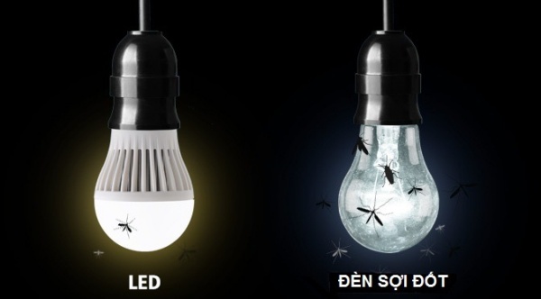 Sự thật về việc đèn Led thu hút côn trùng